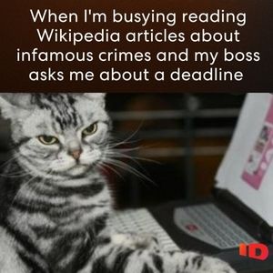 Meet your Posher, Rhonda